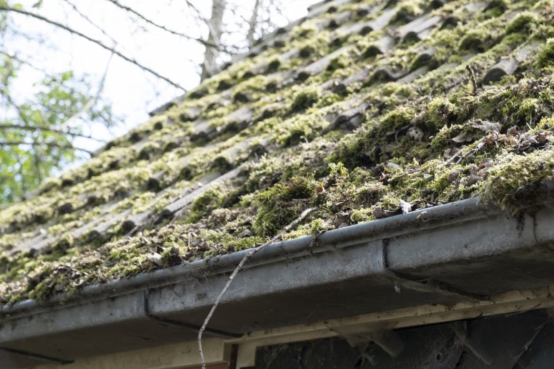 Roof Cleaning Service