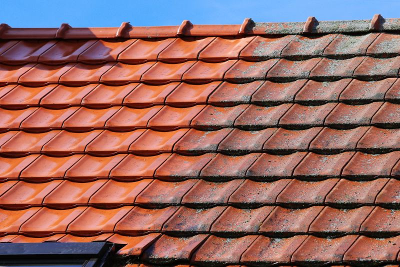 Roof Moss Cleaning detail