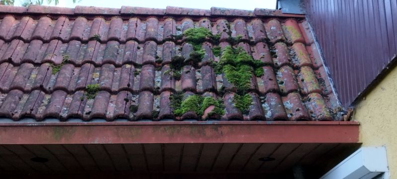 Roof Moss Cleaning detail