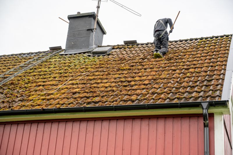 Roof Moss Cleaning detail